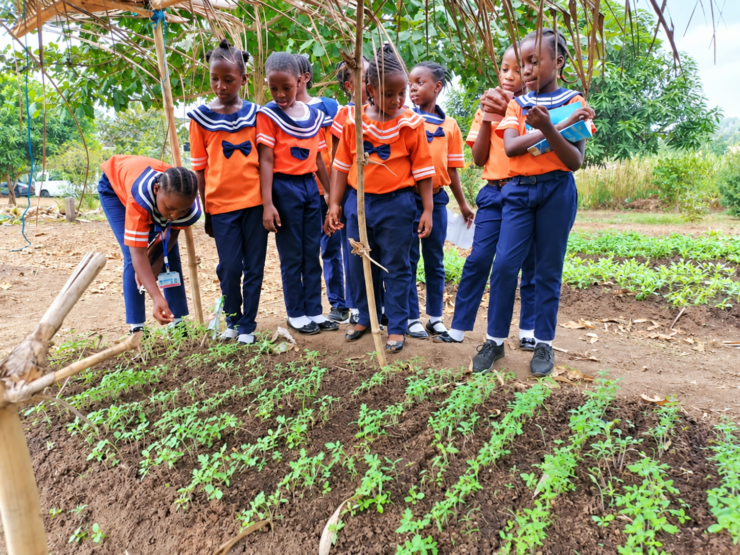 Students learning in the school garden