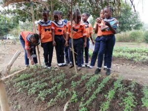 Students learning in the school garden